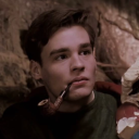 nperryshadyfactsupdates avatar