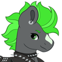 nrpony avatar