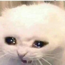 nthingrllymtters avatar