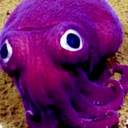 nuclearparrot-blog avatar