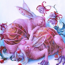 nuclearradioactivecats avatar