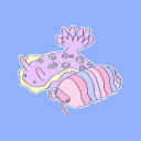 nudipod avatar