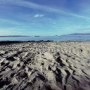 nuevafrontera avatar