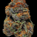 nugsfordays-blog avatar