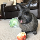 nukethebunnehz avatar