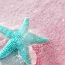 nulla-da-perdere avatar