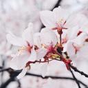 nullanddevoid avatar