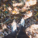 nullifying-ann avatar