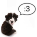 nullyetinfinite avatar