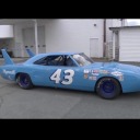 number-43-in-blue avatar