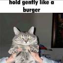 number15burgerkingfootlettuce avatar