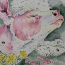 number1cowkin avatar