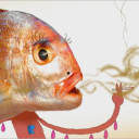 number1owlcityfan avatar