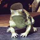 number1smallsfan avatar