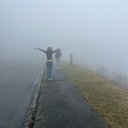 numberonegardenerpolice avatar