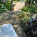 numberonegirlkisser avatar