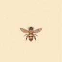 numberonetyrantwonderland avatar