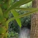 nuncadeixesdesonhar avatar