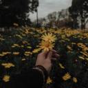 nuncasabesbien avatar