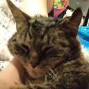 nunyabizdotcom avatar