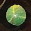 nurseperverse avatar