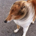 nutbuster7000 avatar