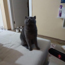 nutellalicips avatar