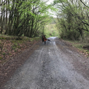 nutellaninhatunu avatar