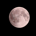 nuthin-but-butts avatar