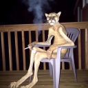 nutty-wizard-gardener avatar