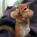 nuttymouthful avatar