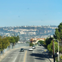 nuttypersonaprince avatar