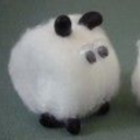 nutweevil5000 avatar