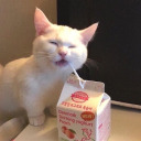 nuwanda-not-charlie avatar