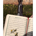 nuza3minalqabail avatar