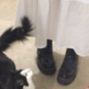 nvrendingstry avatar