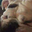 nvrfrgtthename avatar