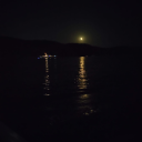 nxjhshahshshshshs avatar