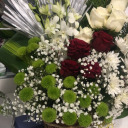 nxrcoticbliss avatar