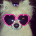 nyancatlover48 avatar