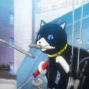 nyauto-meowchanic avatar