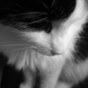 nyelehendrick avatar