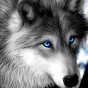 nymeria-the-wolf-maiden-blog avatar