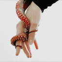 nymerias-star avatar