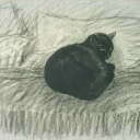 nymphofthefountain avatar