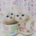 nymphofthenet avatar