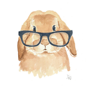 nyuszihercegno avatar