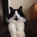 o--nlybadvibes avatar