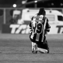 o-galo-e-a-minha-vida-blog avatar