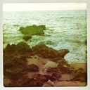 o-teri-tay-blog avatar